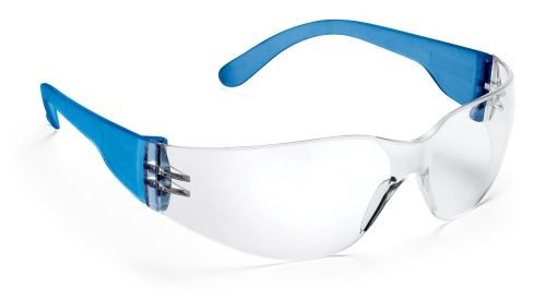 Lunettes de protection SGS bleues